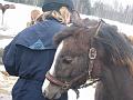 nalle tuli ja helmi 1v. 058